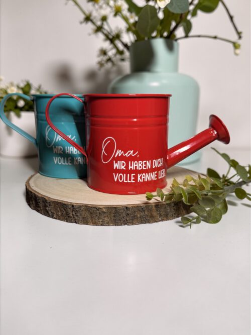 Vintage Metall-Gießkanne – dekorative Gießkanne mit Brause | Pflanzentopf als Geschenkidee